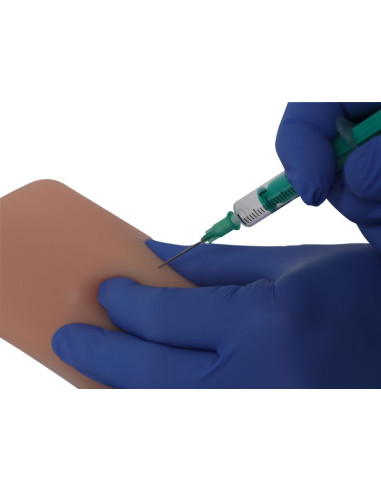 ovelsesmodel-til-intradermale-subkutane-og-intramuskulaere-injektioner